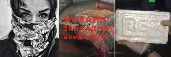 прущие грибы Краснотурьинск