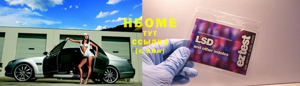 прущие грибы Краснотурьинск