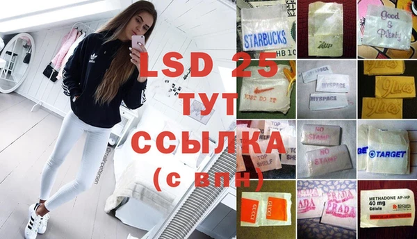 прущие грибы Краснотурьинск
