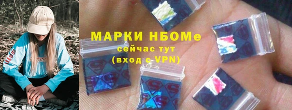 хмурый Краснослободск