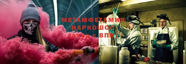 прущие грибы Краснотурьинск