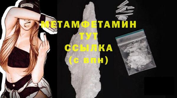 прущие грибы Краснотурьинск
