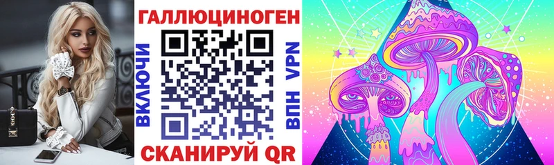 Галлюциногенные грибы Psilocybe Александровское