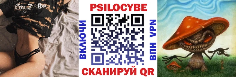blacksprut вход  Александровское  Псилоцибиновые грибы GOLDEN TEACHER  купить закладку 