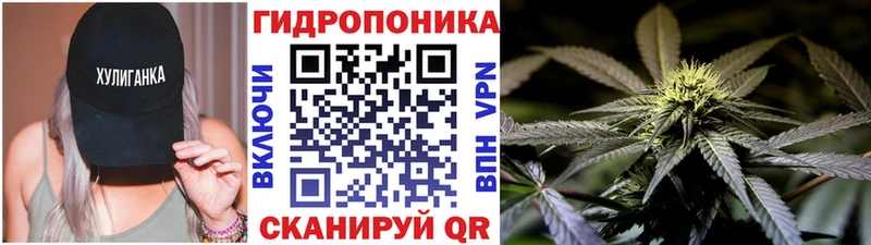 купить наркотики сайты  Александровское  мега ссылка  Марихуана Ganja 